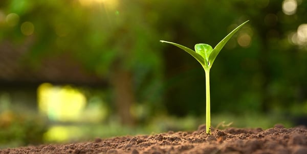 Gehan Homes Ltd. Bought By Sumitomo Forestry America, Inc.